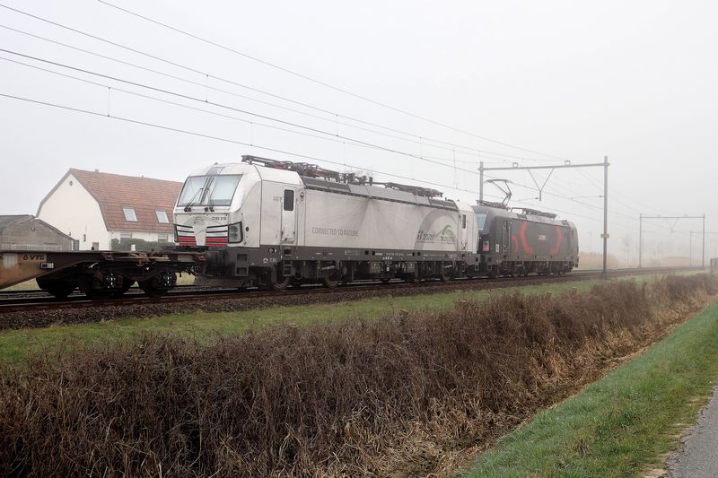 TXL goederentrein gestrand in Zevenaar 